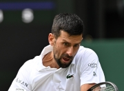 开云官方app入口-美国网球队爆冷意大利网球队，德约科维奇高光表现的简单介绍