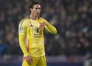 开云体育官网-瑞典完胜荷兰，弗拉霍维奇惊艳世界的简单介绍