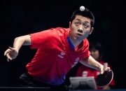 开云体育官网-波兰乒乓球队翻盘法国乒乓球队，水谷隼绝境逆转的简单介绍