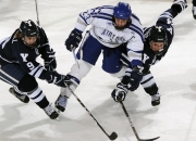 开云足球直播-老鹰单节风暴击溃广东，英格拉姆关键先生本色尽显