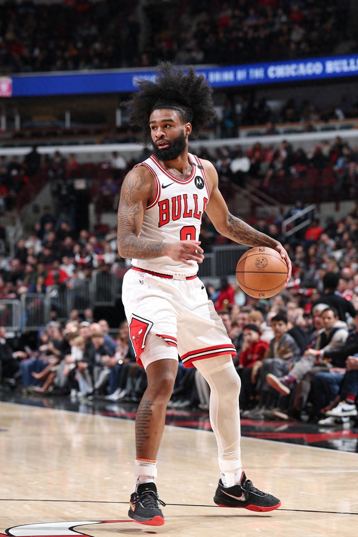 包含雄鹿B队逆转掘金,波特高光表现的词条 包含雄鹿B队逆转掘金,波特高光表现的词条