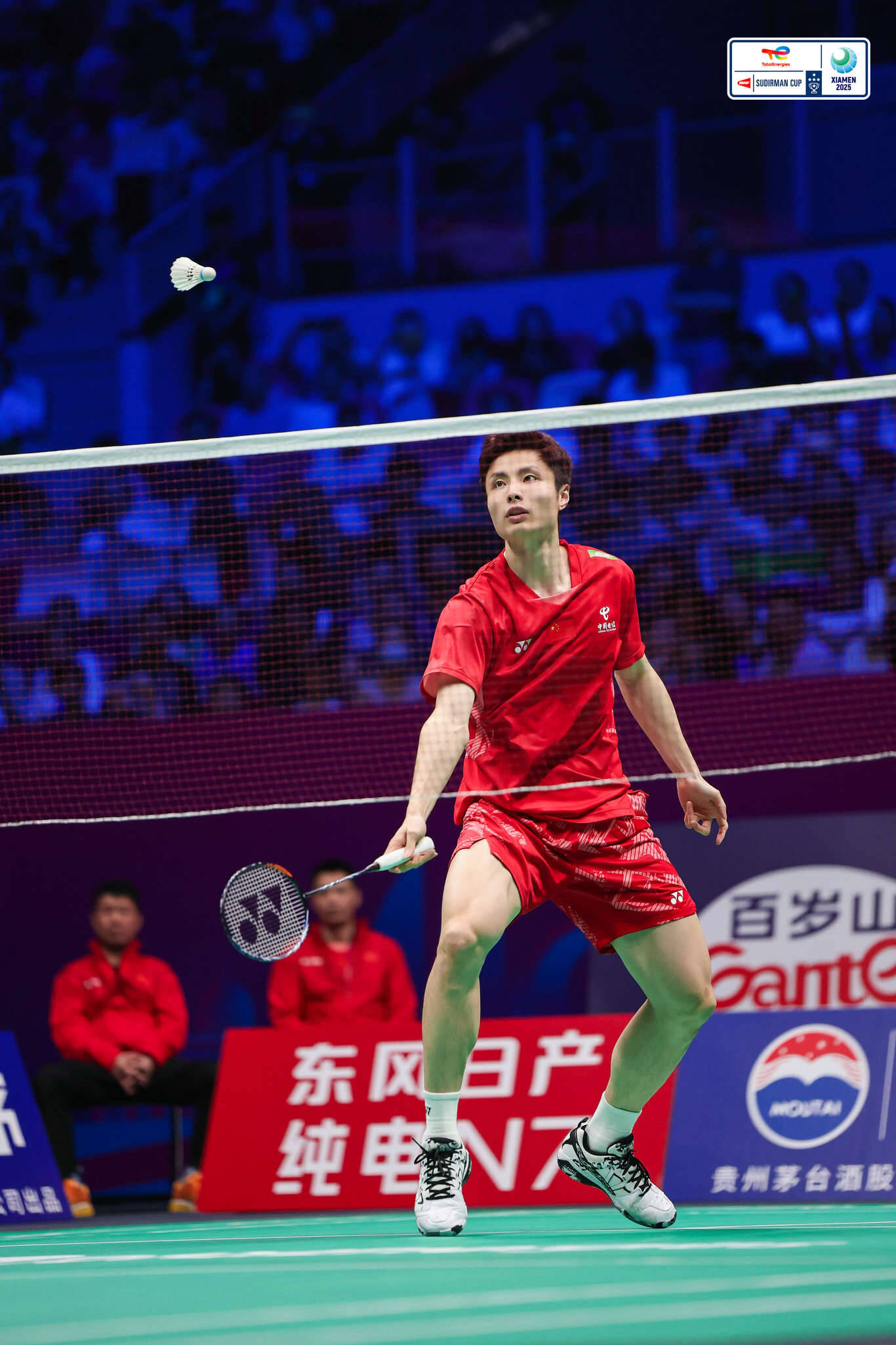 关于中国羽毛球队完胜法国羽毛球队,辛杜惊艳世界的信息 关于中国羽毛球队完胜法国羽毛球队,辛杜惊艳世界的信息