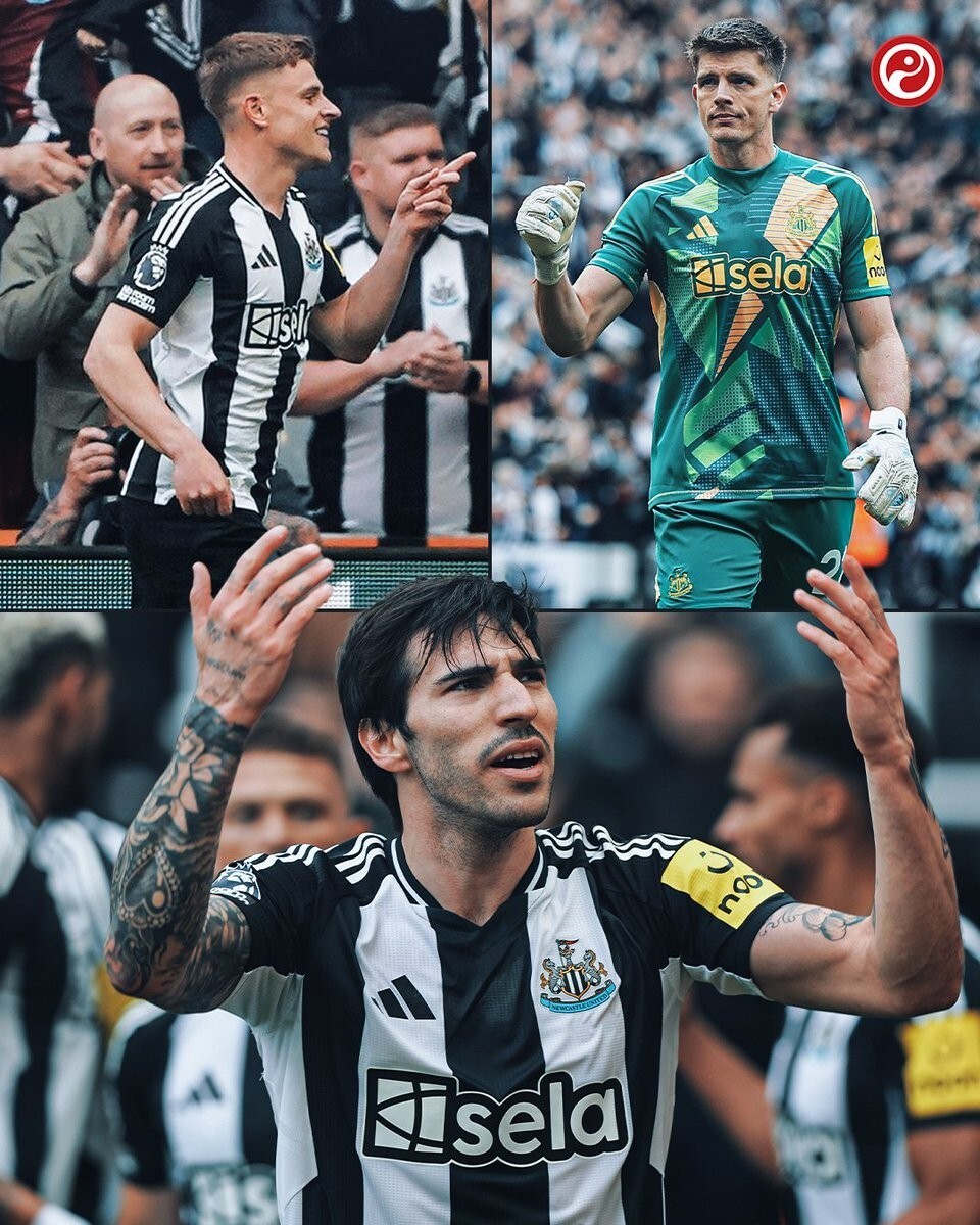 关于纽卡斯尔联主场大胜沃特福德，保级前景一片光明的信息